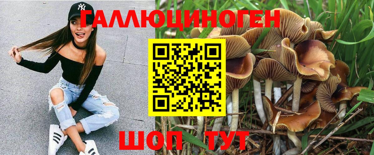 Галлюциногенные грибы GOLDEN TEACHER Киреевск