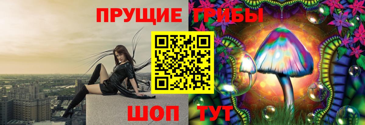 Галлюциногенные грибы MAGIC MUSHROOMS  Вход с VPN  Киреевск 